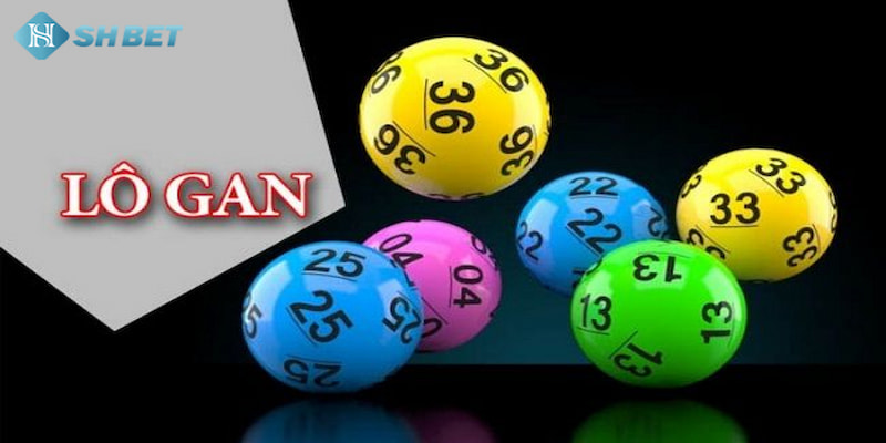 Banner www.phuongmaicorp.vn