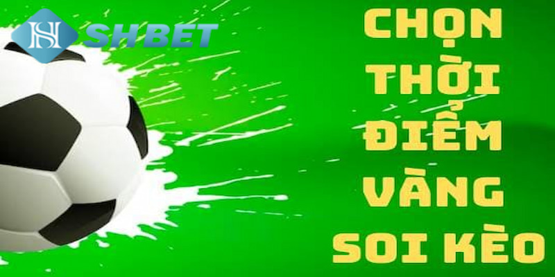 Banner www.phuongmaicorp.vn