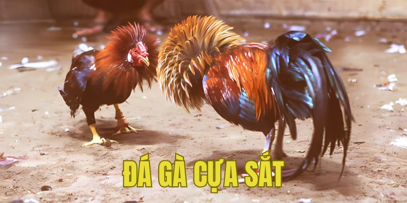 Banner www.phuongmaicorp.vn