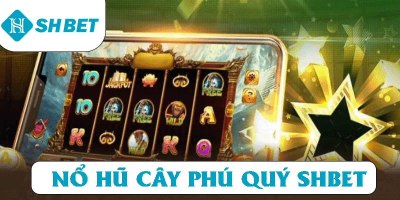 Banner www.phuongmaicorp.vn