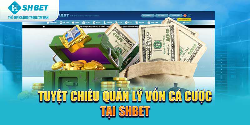 Banner www.phuongmaicorp.vn