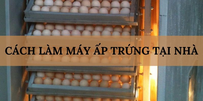 Banner www.phuongmaicorp.vn