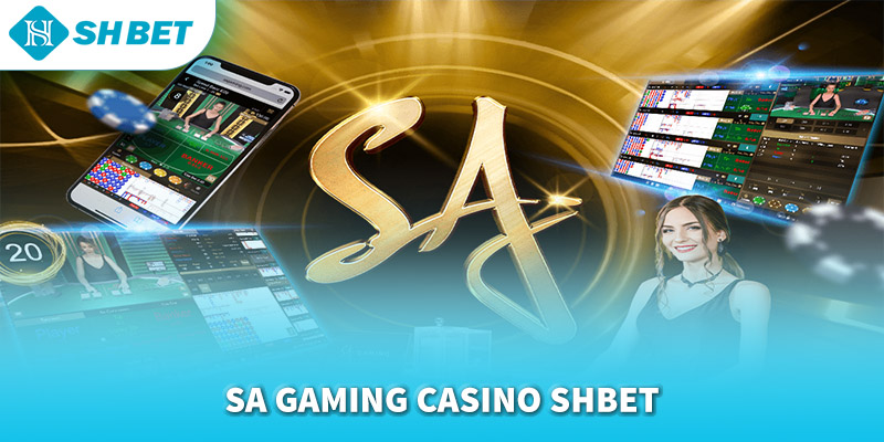 Banner www.phuongmaicorp.vn